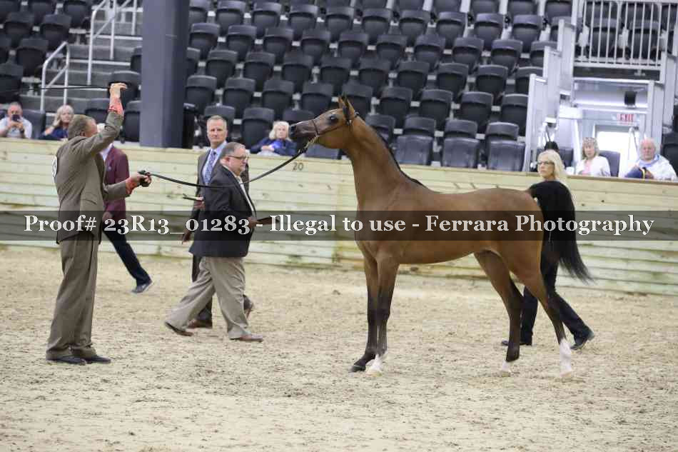 Proof 23R13_01283