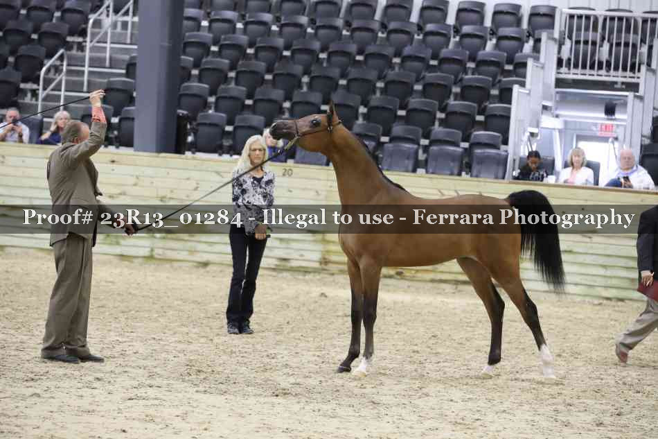 Proof 23R13_01284