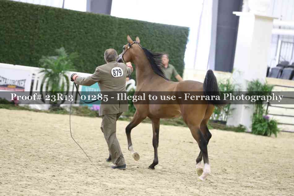 Proof 23R13_01285