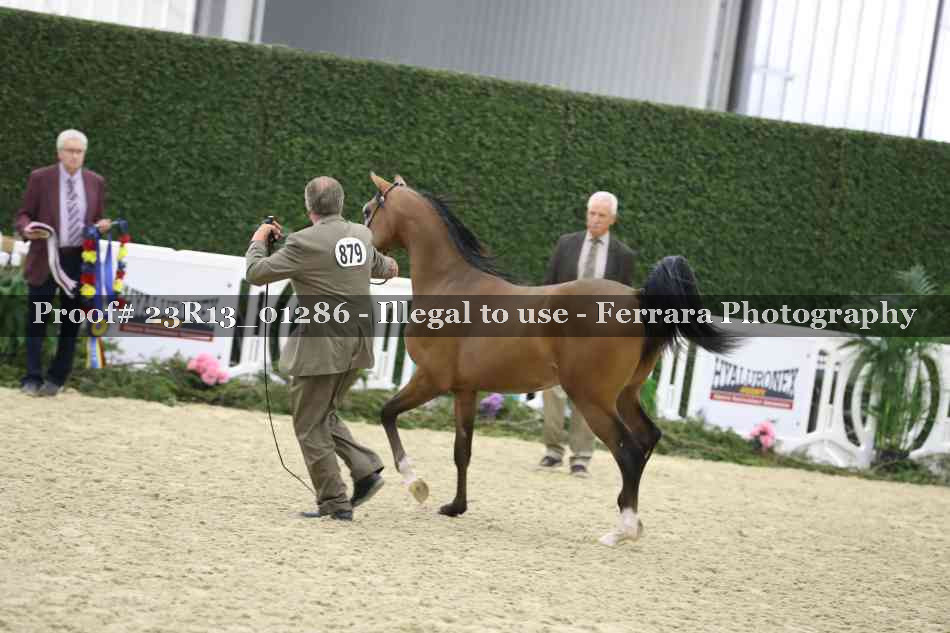 Proof 23R13_01286