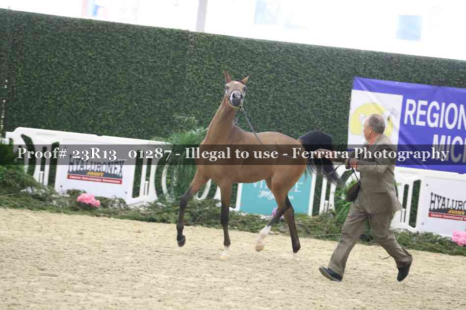Proof 23R13_01287