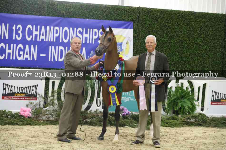 Proof 23R13_01288