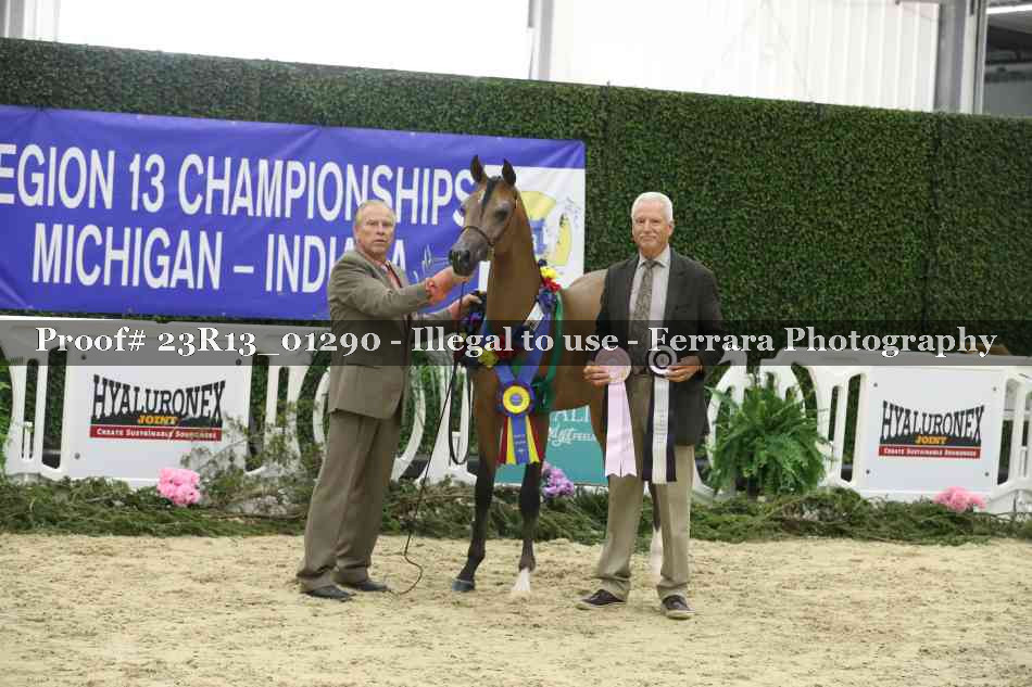 Proof 23R13_01290