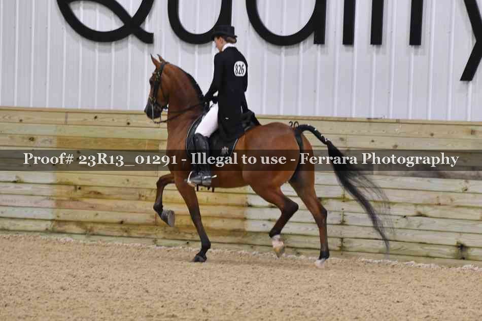 Proof 23R13_01291
