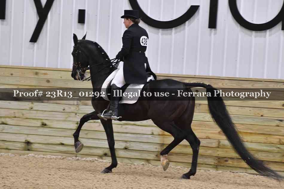 Proof 23R13_01292