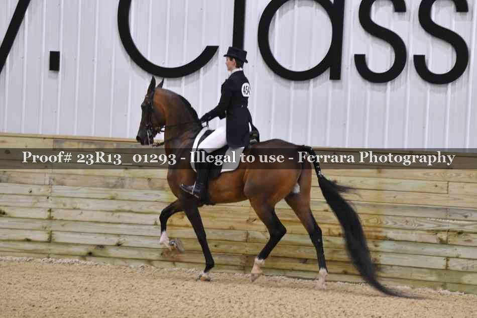 Proof 23R13_01293