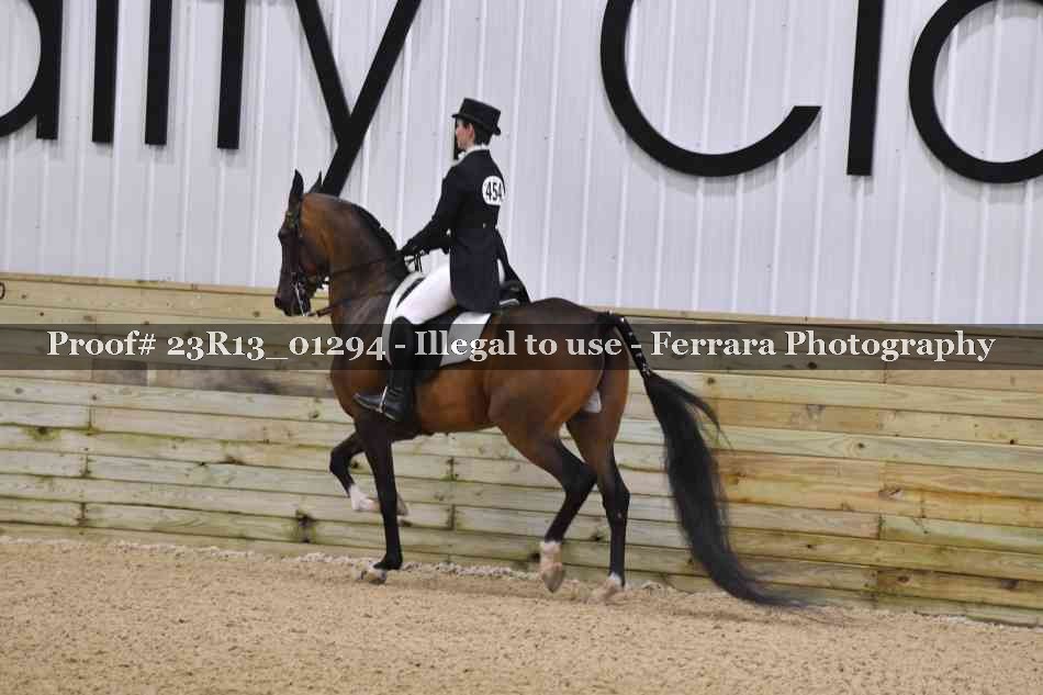 Proof 23R13_01294