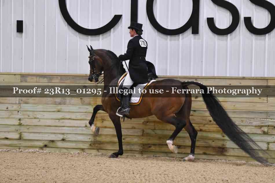 Proof 23R13_01295