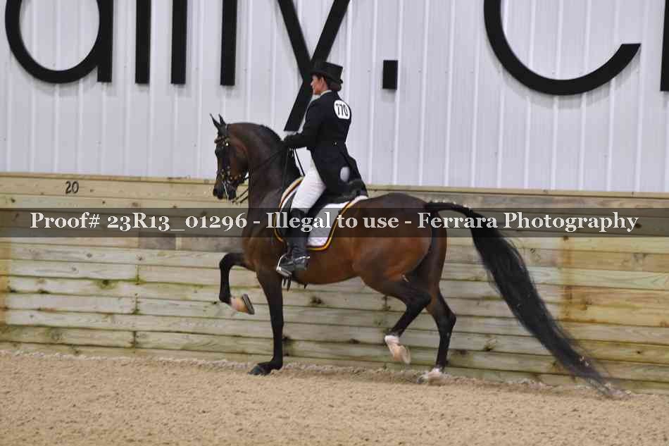 Proof 23R13_01296