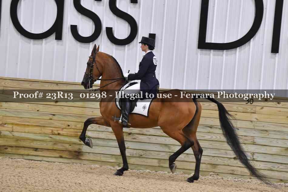 Proof 23R13_01298