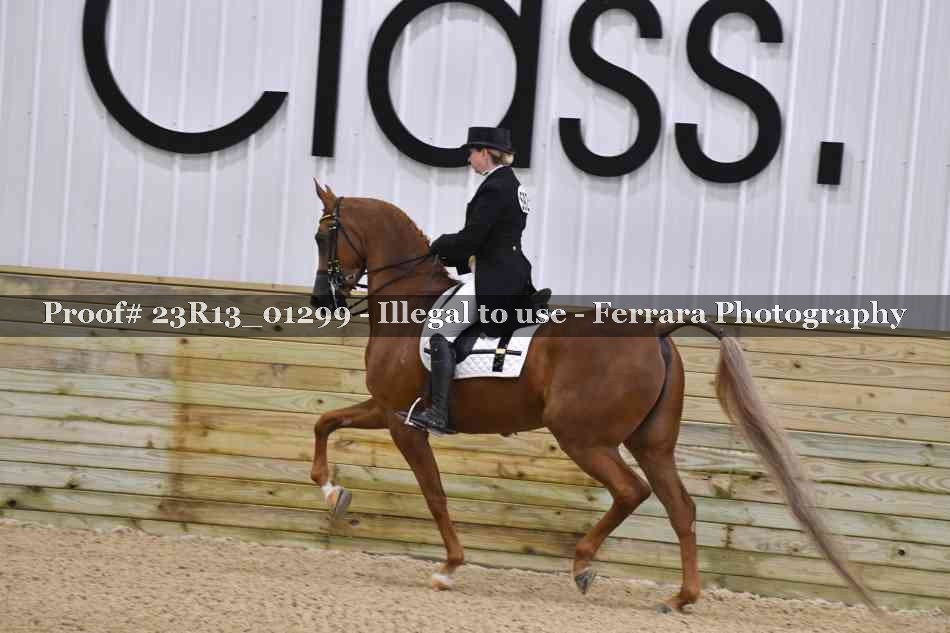 Proof 23R13_01299