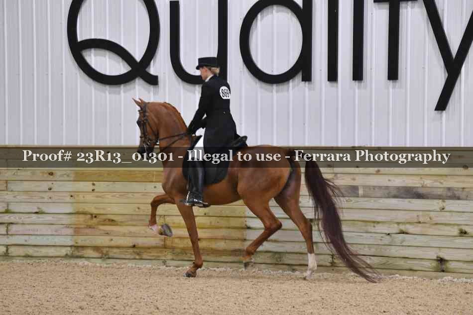 Proof 23R13_01301