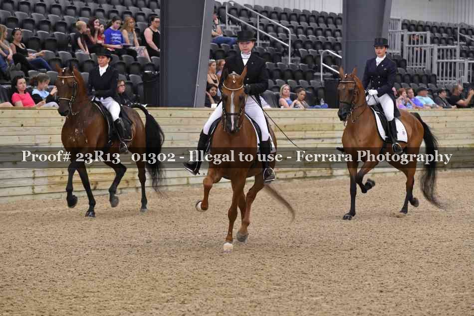 Proof 23R13_01302