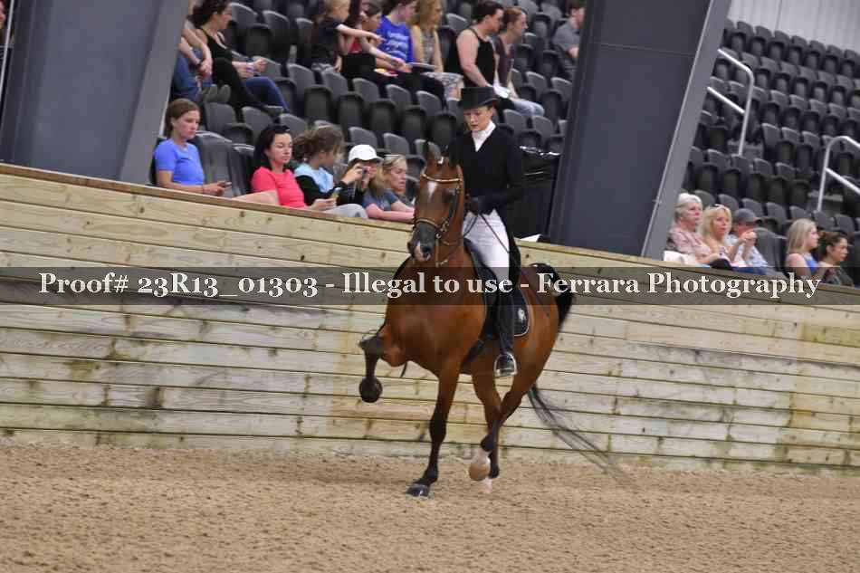 Proof 23R13_01303