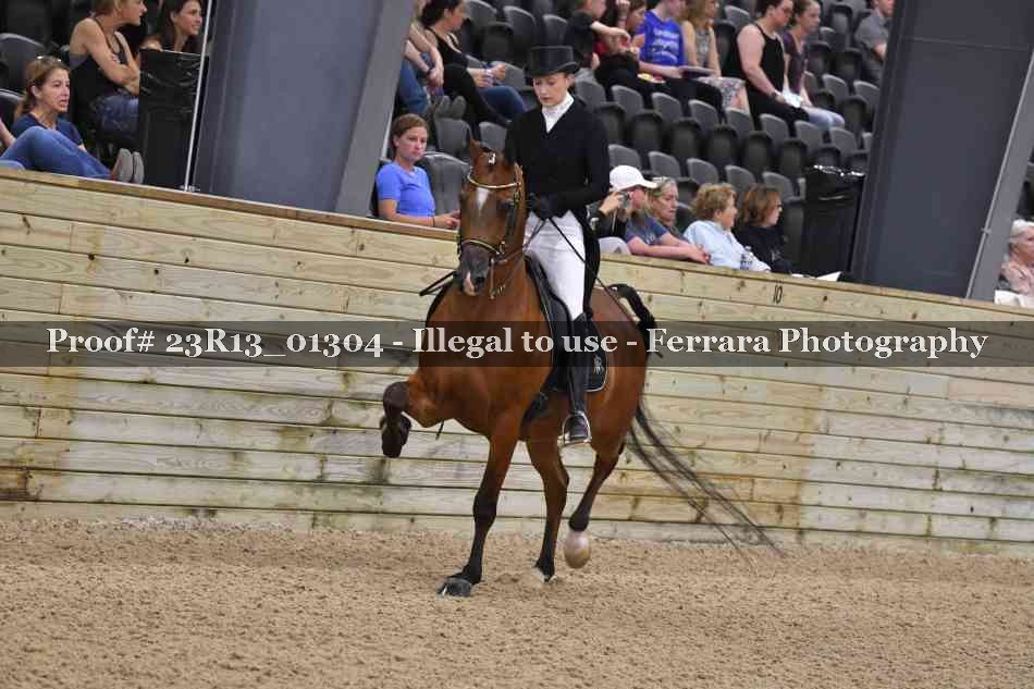 Proof 23R13_01304