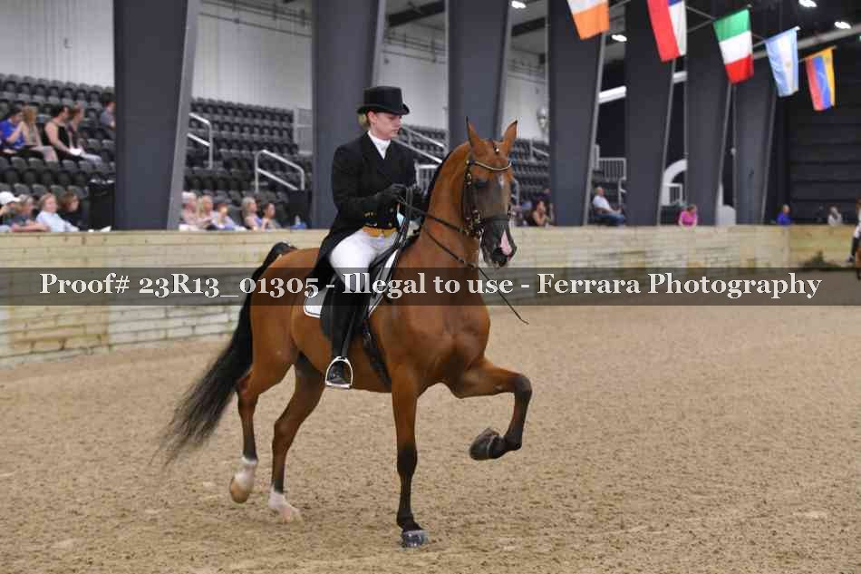 Proof 23R13_01305