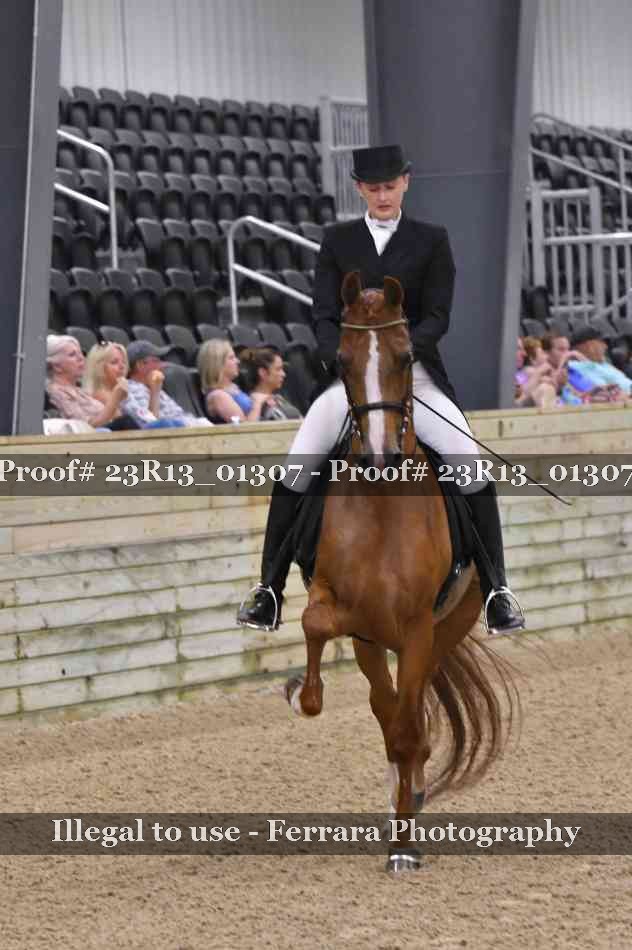 Proof 23R13_01307