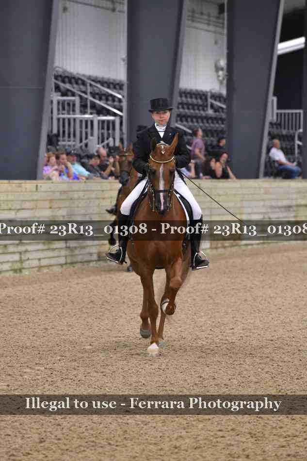 Proof 23R13_01308