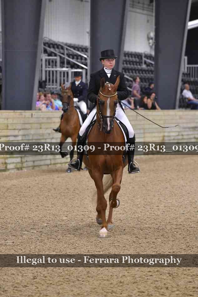 Proof 23R13_01309