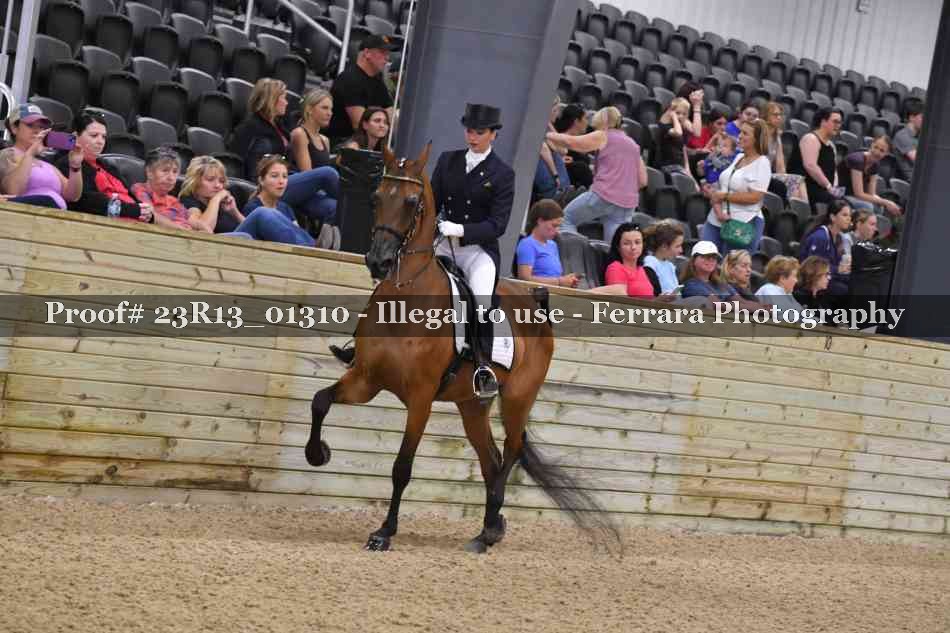 Proof 23R13_01310