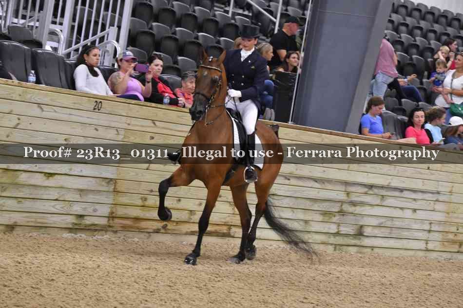 Proof 23R13_01311