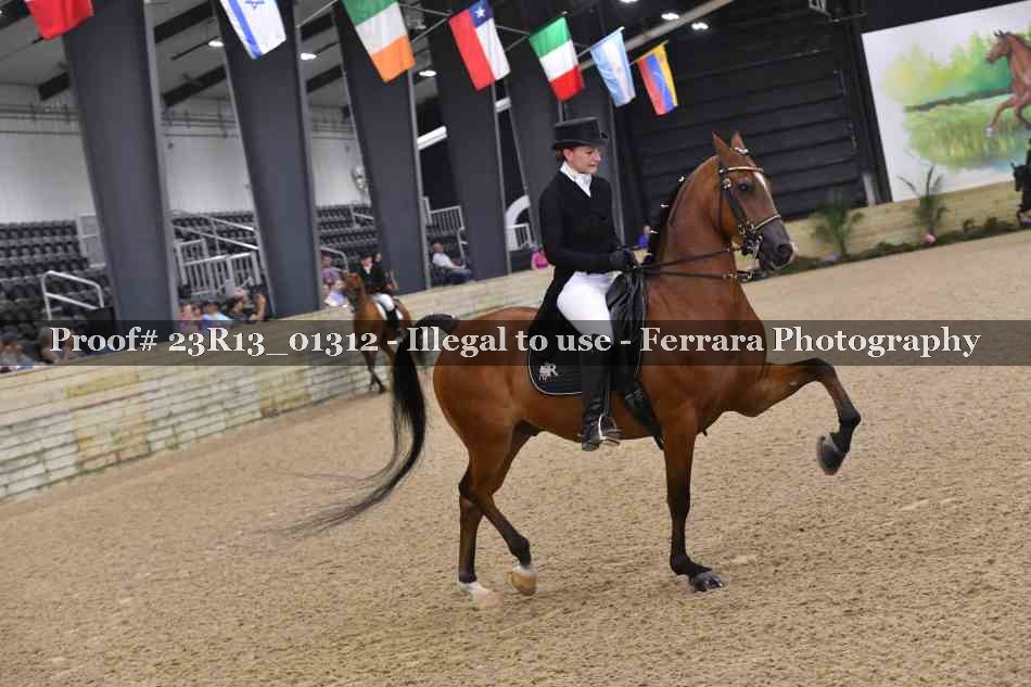 Proof 23R13_01312