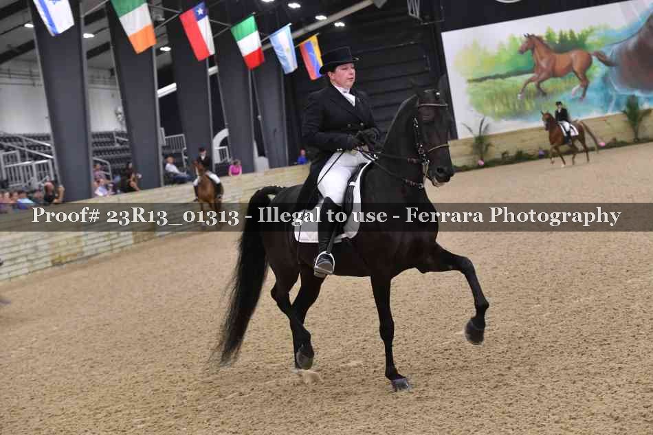 Proof 23R13_01313