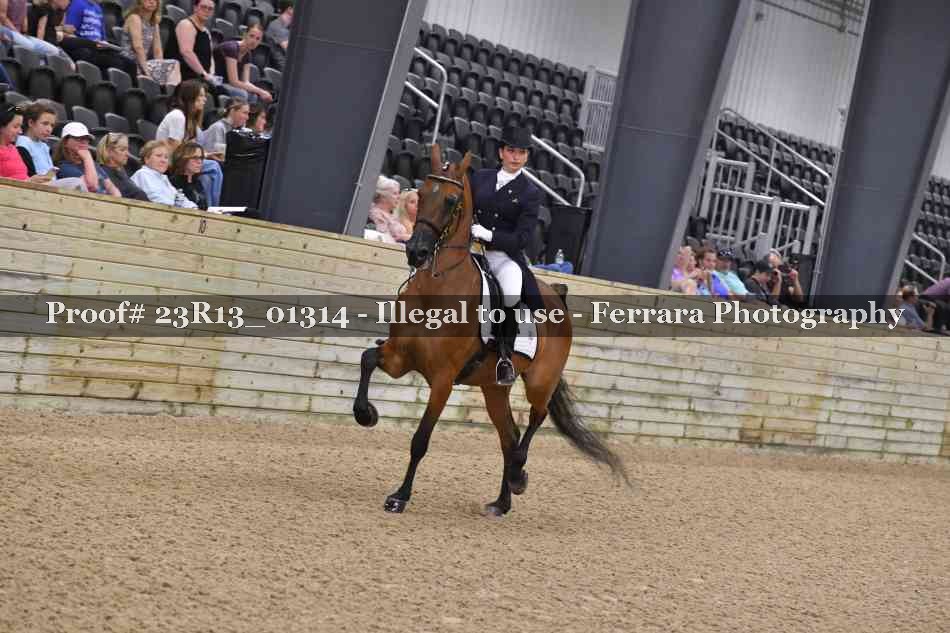 Proof 23R13_01314
