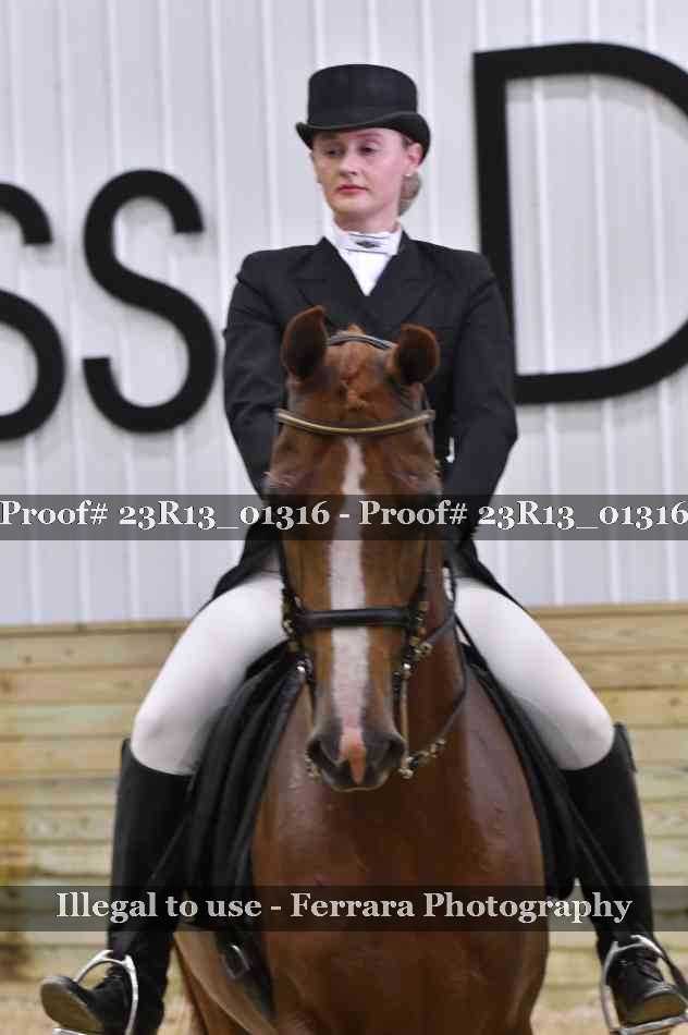 Proof 23R13_01316