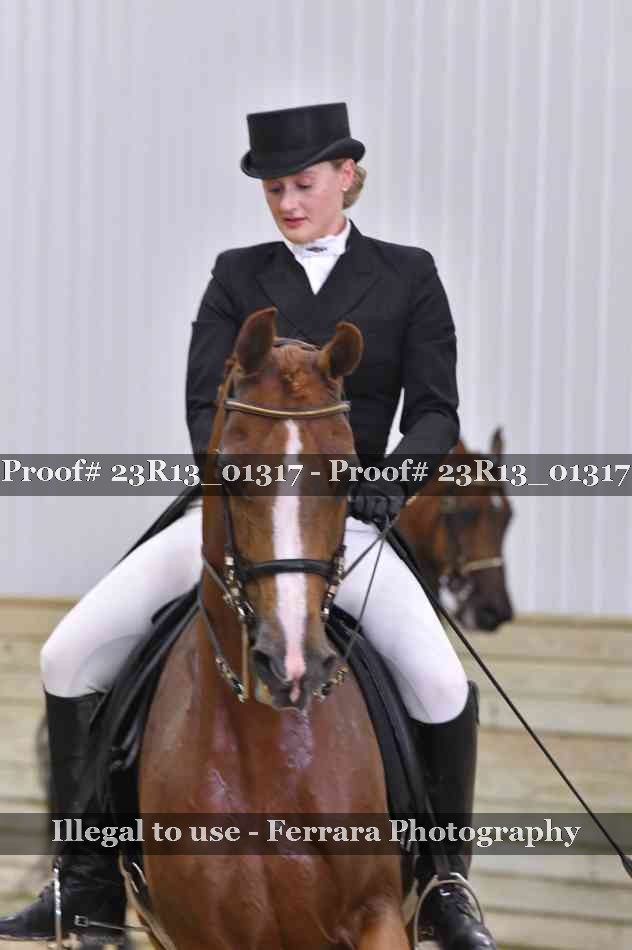 Proof 23R13_01317
