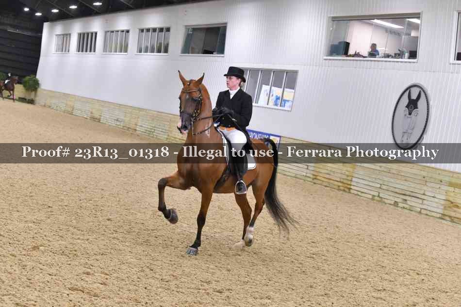 Proof 23R13_01318