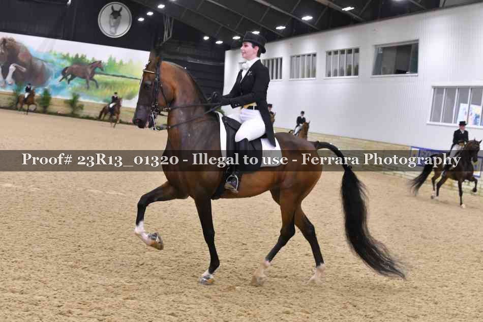 Proof 23R13_01320