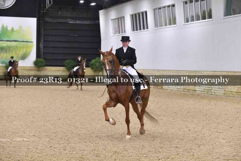 Proof 23R13_01321