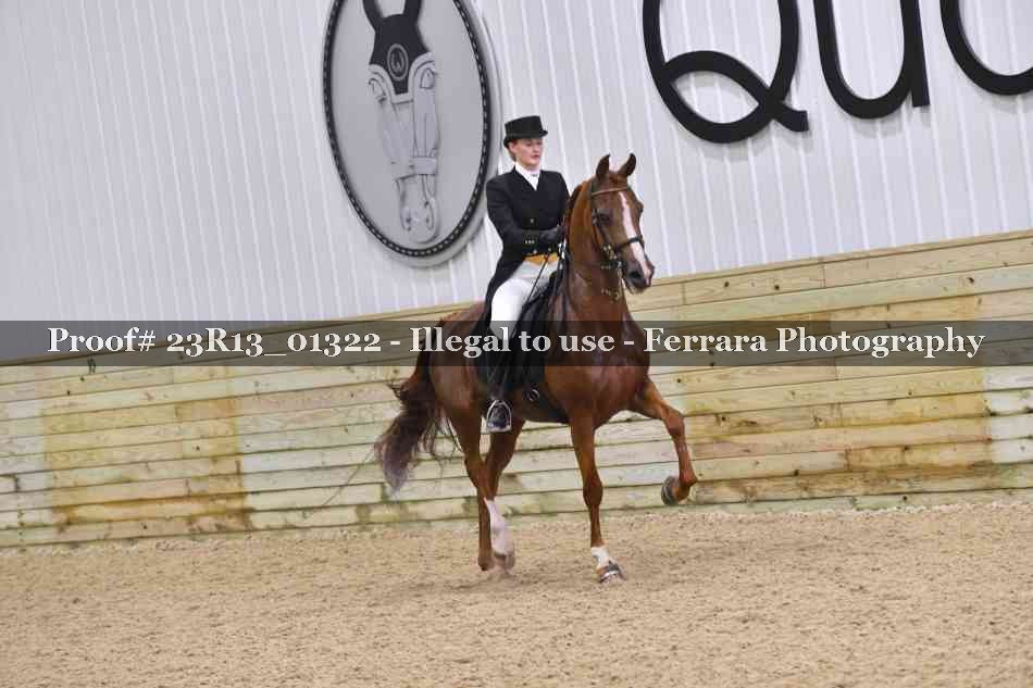 Proof 23R13_01322