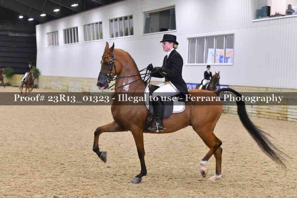 Proof 23R13_01323