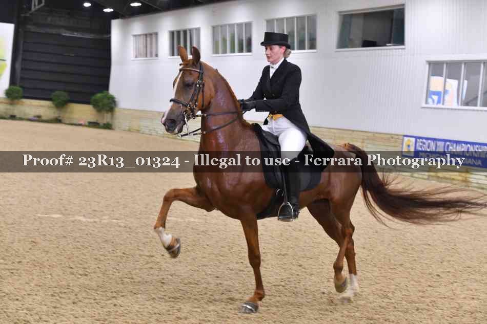 Proof 23R13_01324