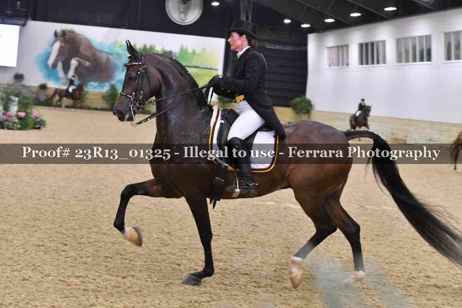 Proof 23R13_01325