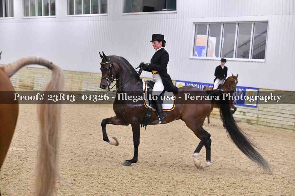 Proof 23R13_01326
