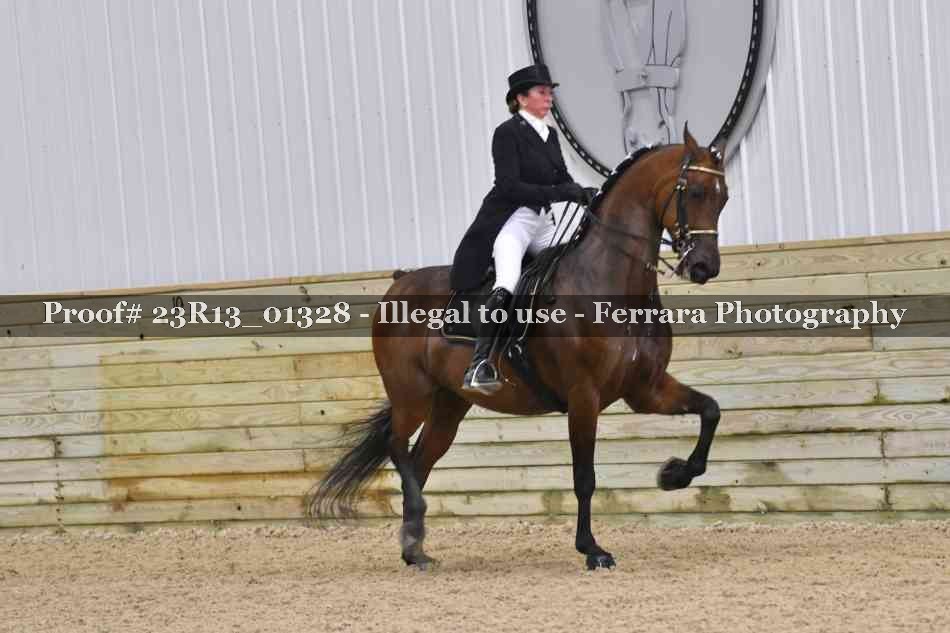 Proof 23R13_01328