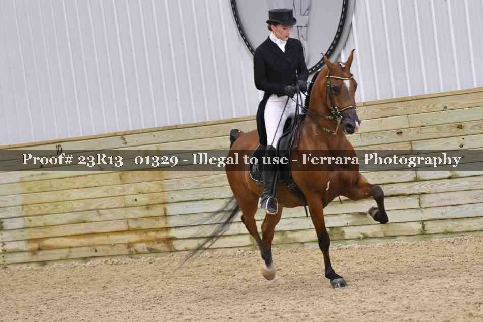 Proof 23R13_01329