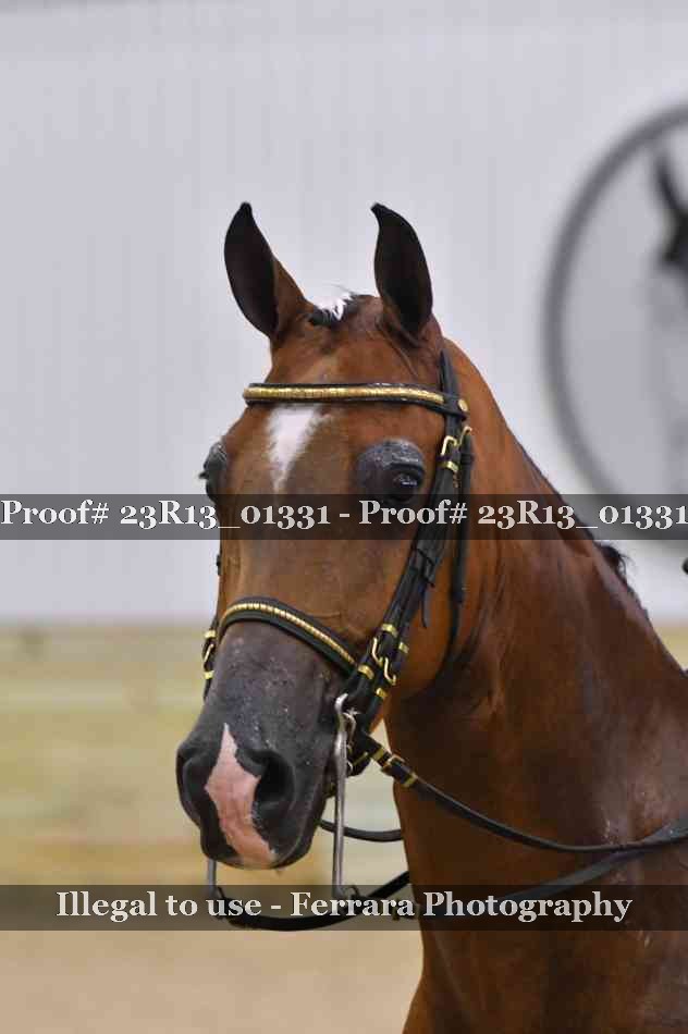Proof 23R13_01331