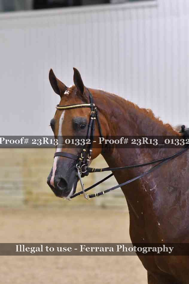 Proof 23R13_01332