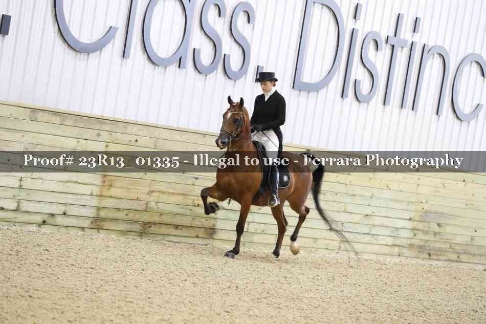 Proof 23R13_01335