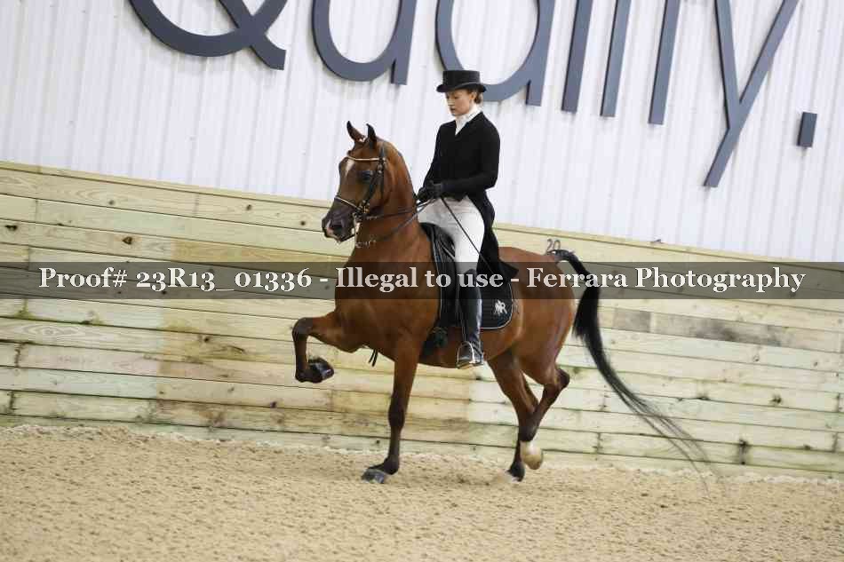 Proof 23R13_01336