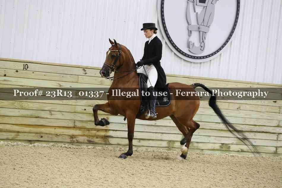 Proof 23R13_01337