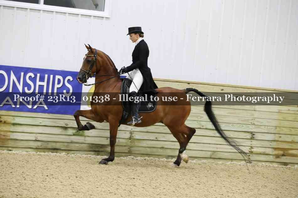Proof 23R13_01338