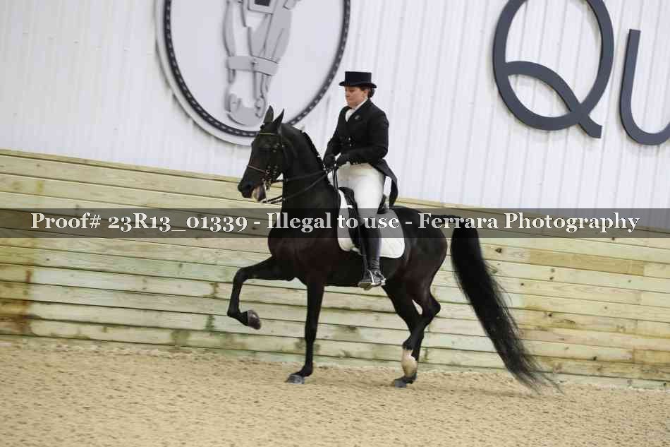 Proof 23R13_01339