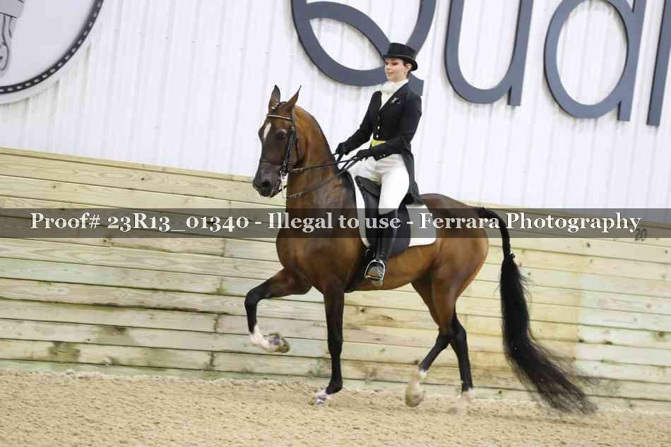 Proof 23R13_01340