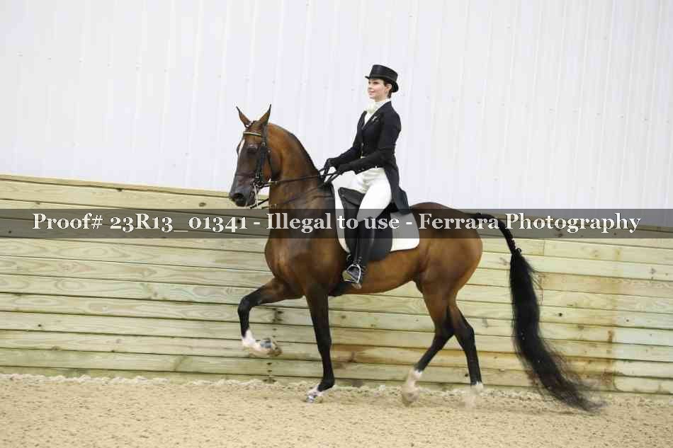 Proof 23R13_01341