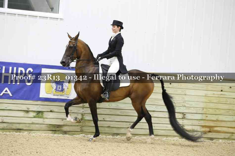 Proof 23R13_01342